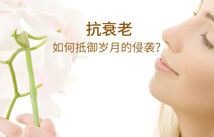 抗衰老